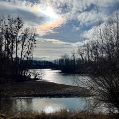 23-02-18 14-17-51 4250